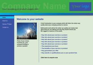 Simple Content Mangement Website Design